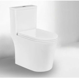 Bồn cầu liền khối Dosho DS - 8039