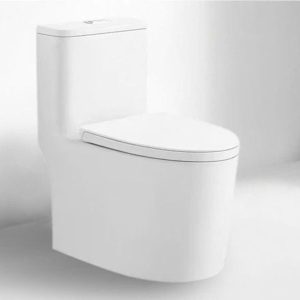 Bồn cầu liền khối Dosho DS - 8058