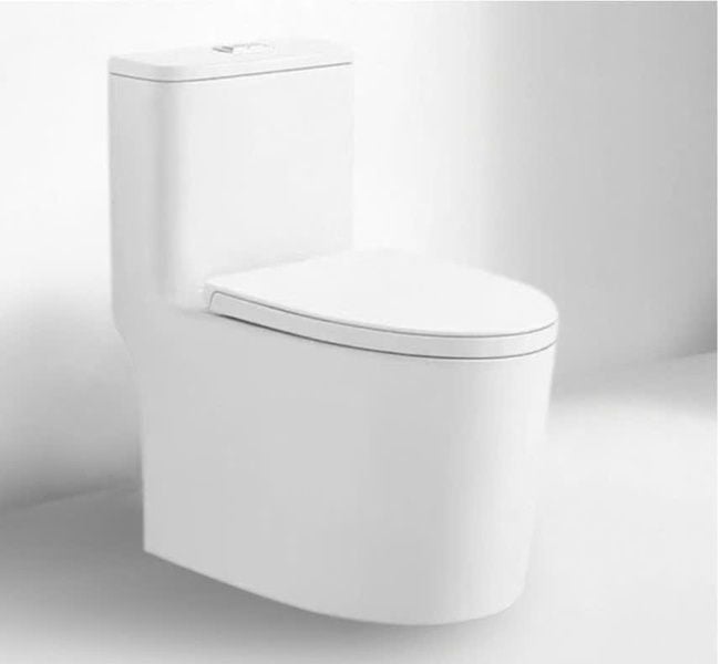 Bồn cầu liền khối Dosho DS - 8058
