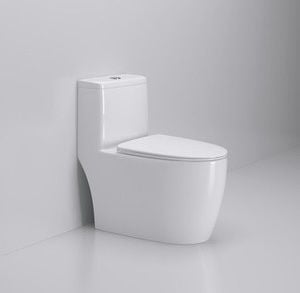 Bồn cầu liền khối Dosho DS - 8689