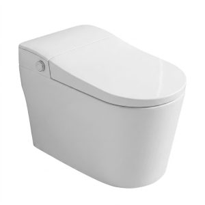 Bồn cầu giả thông minh Dosho DS - 9690