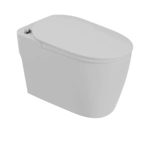 Bồn cầu giả thông minh Dosho DS - 9692