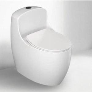 Bồn cầu liền khối Dosho DS - 9888