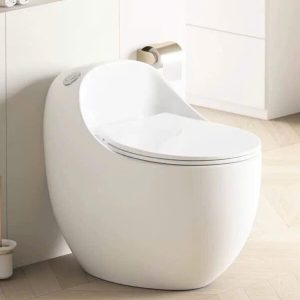 Bồn cầu 1 khối DOSHO model DS-9889T