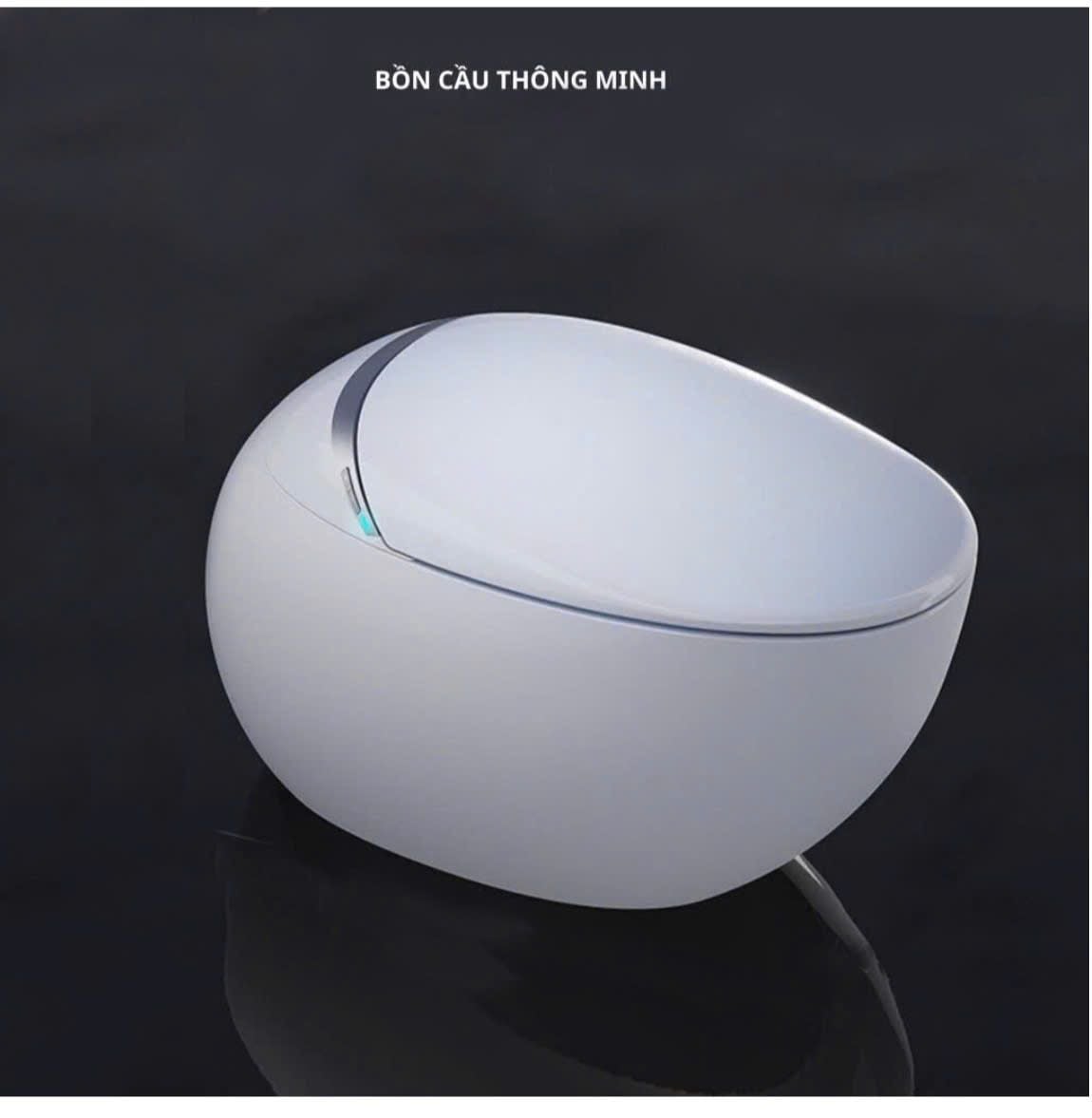 Bồn cầu thông minh Dosho Smart M9