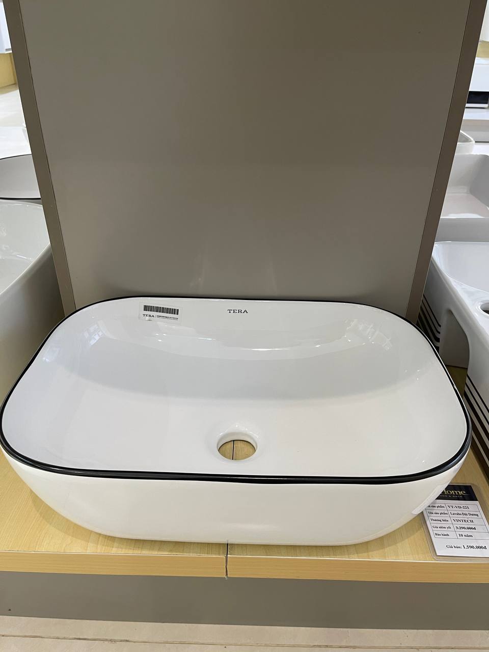 Chậu lavabo đặt dương VINTECH VT-221 - Ảnh 2
