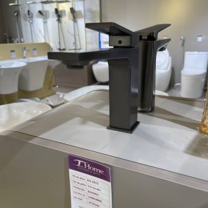 Vòi lavabo DS-503X