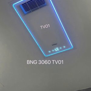 Quạt đèn điều hòa Swonsan BNG TV01